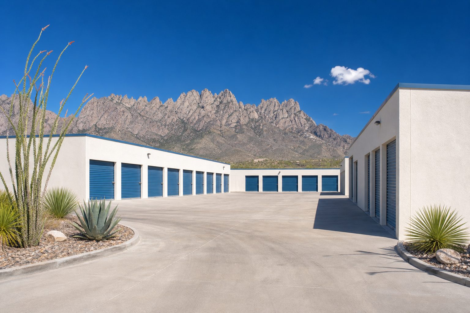 Barker Storages — rows of blue roll-up doors with the Organ Mountains behind